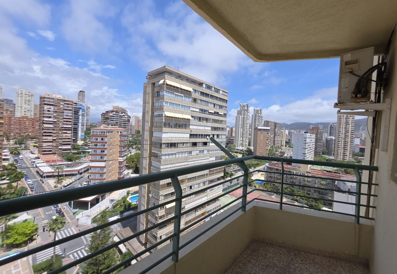 Apartamento en Benidorm - Apartamento  Zeus 14 IF Benidorm