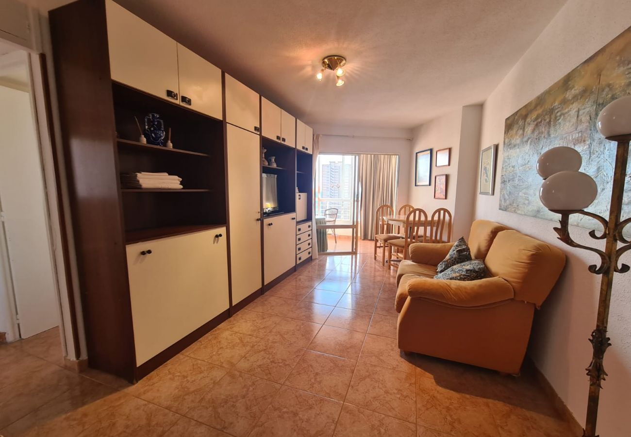 Apartamento en Benidorm - Apartamento  Zeus 13 IF Benidorm