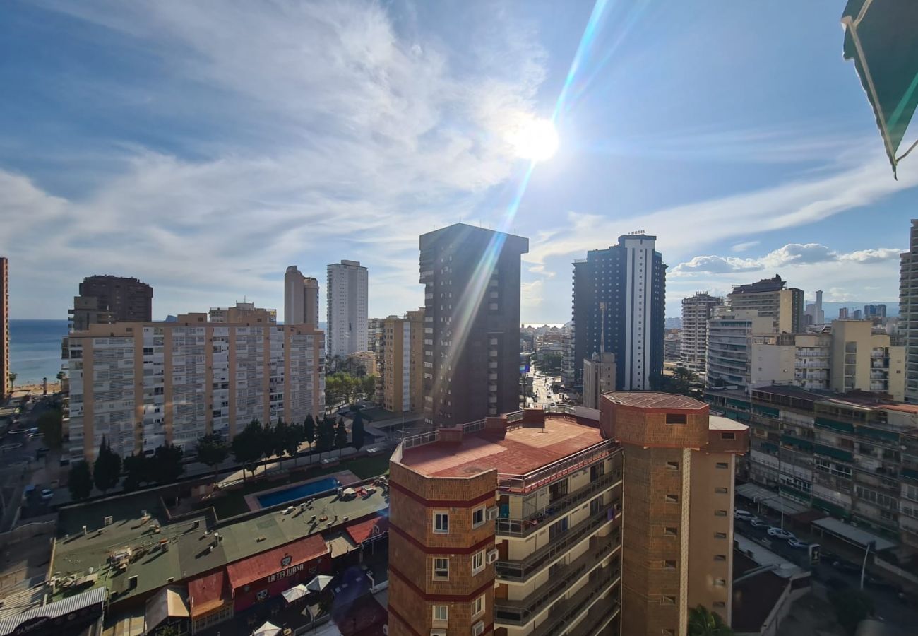 Apartamento en Benidorm - Apartamento  Zeus 13 IF Benidorm