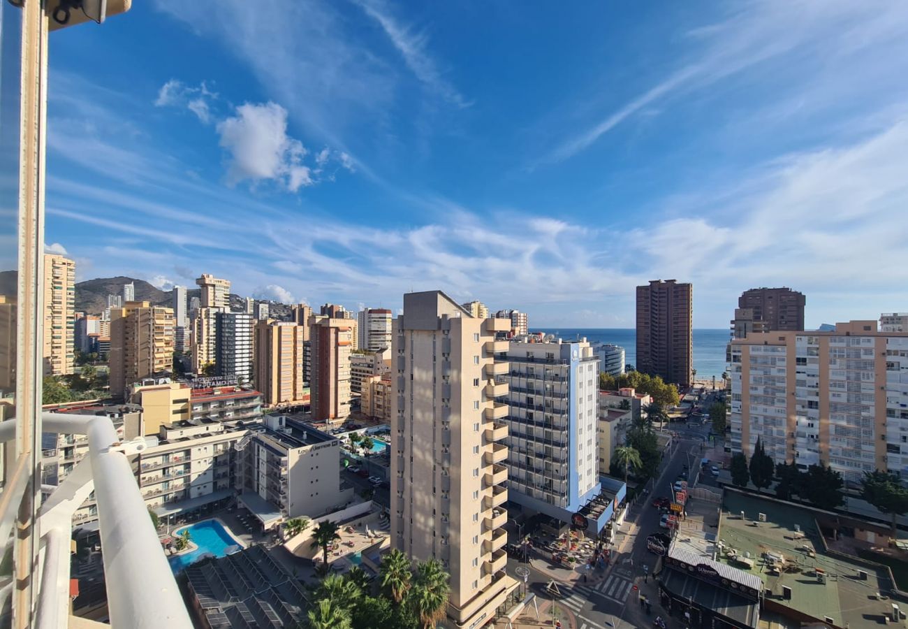 Apartamento en Benidorm - Apartamento  Zeus 13 IF Benidorm