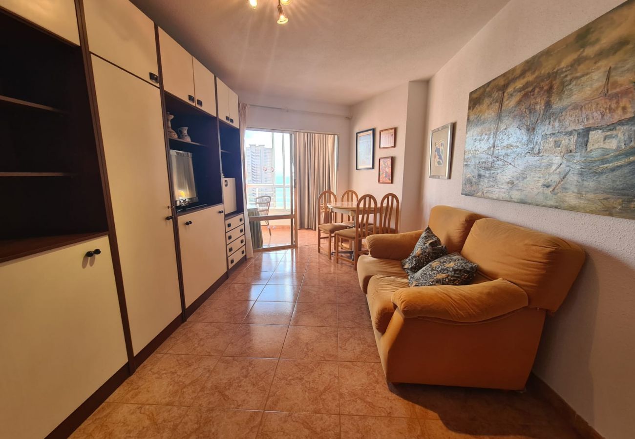 Apartamento en Benidorm - Apartamento  Zeus 13 IF Benidorm