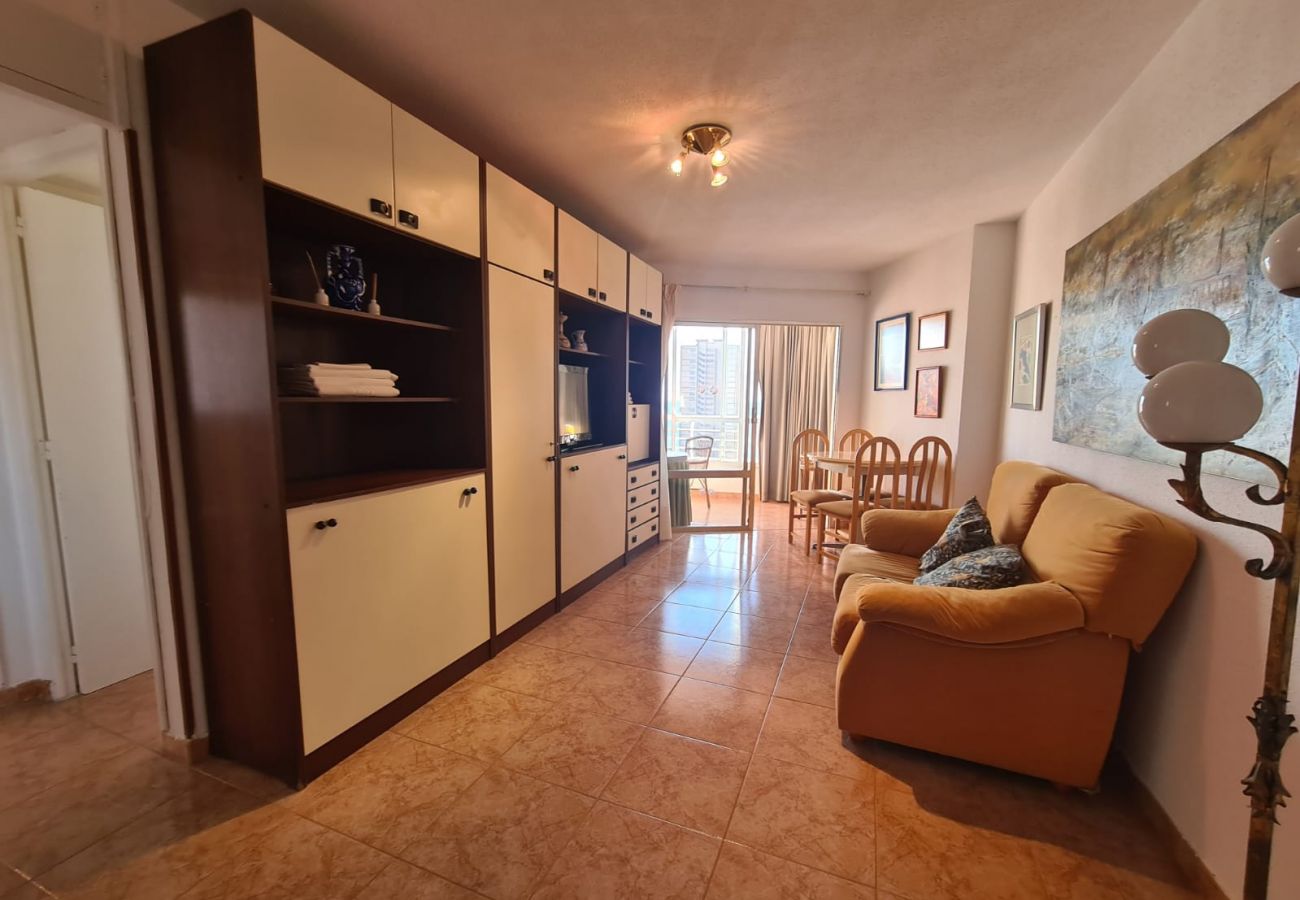 Apartamento en Benidorm - Apartamento  Zeus 13 IF Benidorm