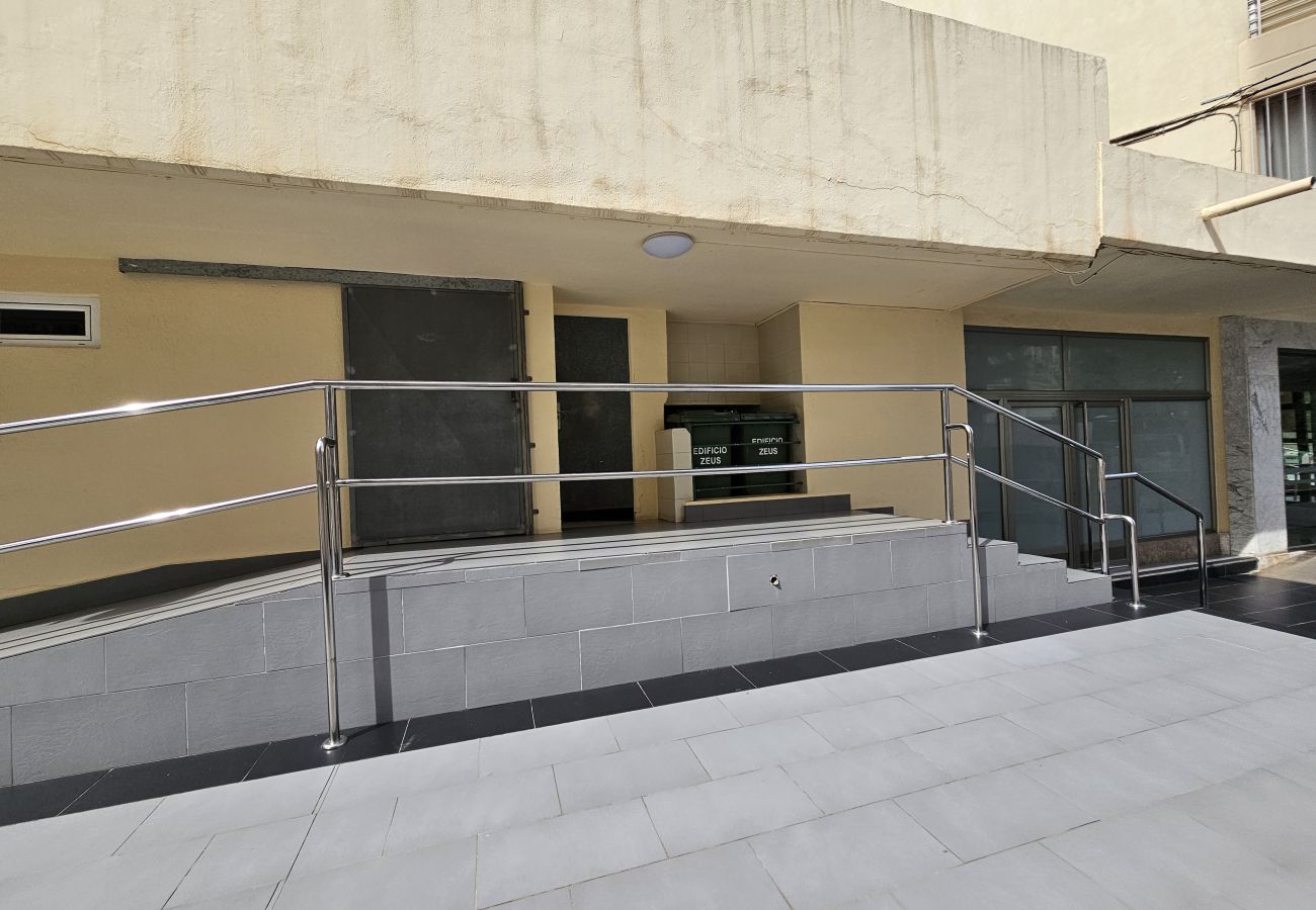 Apartamento en Benidorm - Apartamento  Zeus  IF Beach