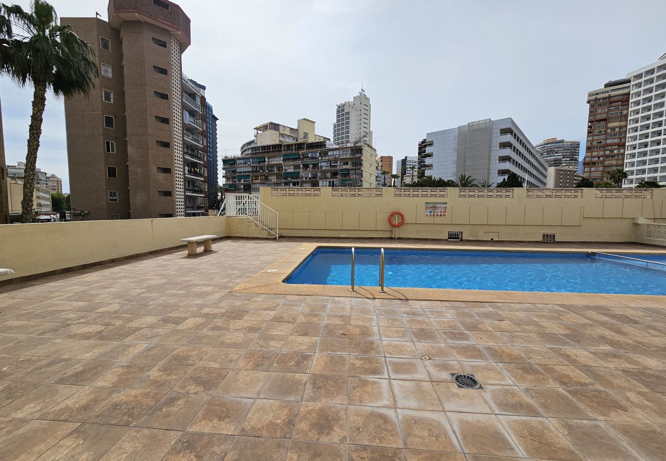 Apartamento en Benidorm - Apartamento  Zeus  IF Beach