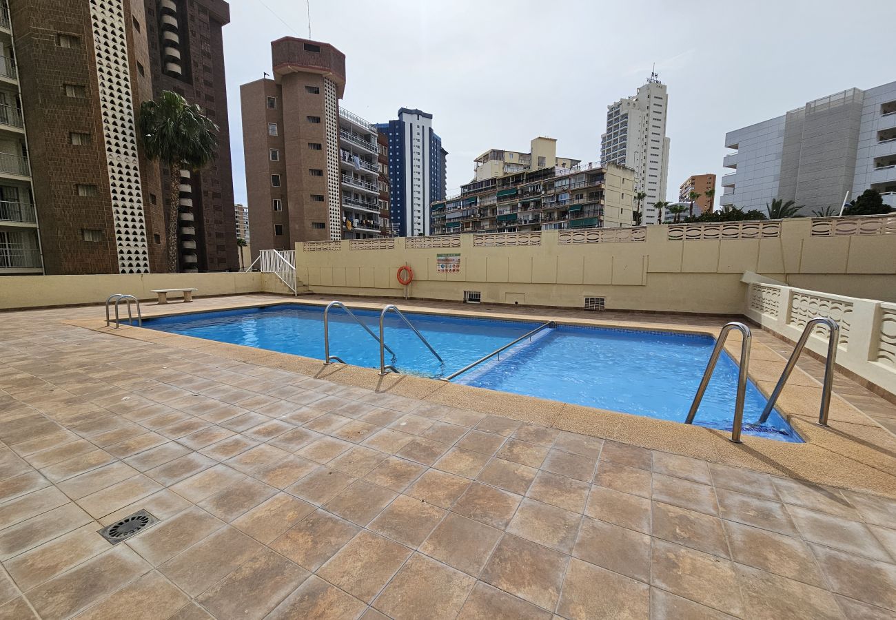 Apartamento en Benidorm - Apartamento  Zeus  IF Beach