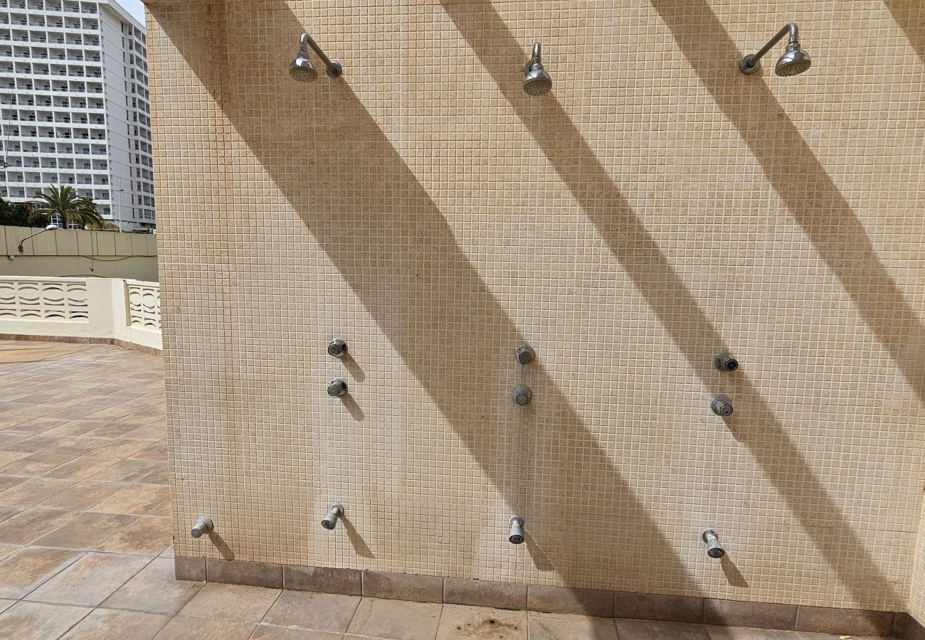 Apartamento en Benidorm - Apartamento  Zeus  IF Beach