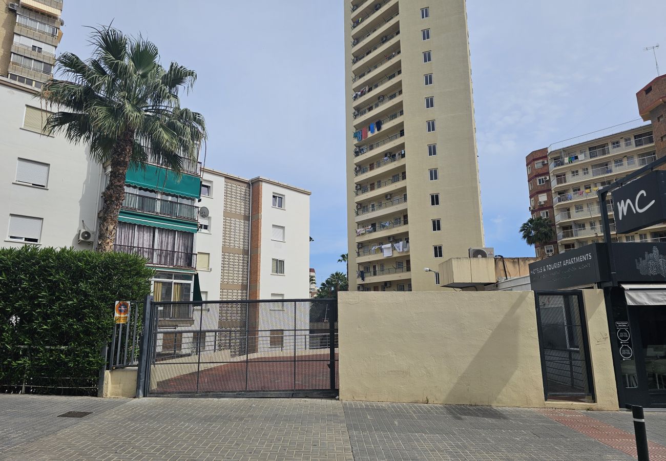 Apartamento en Benidorm - Apartamento  Zeus  IF Beach