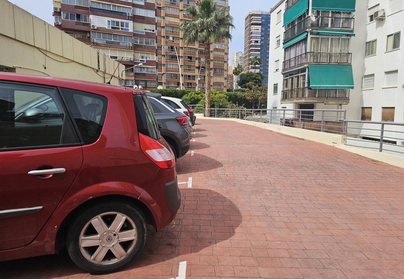 Apartamento en Benidorm - Apartamento  Zeus  IF Beach