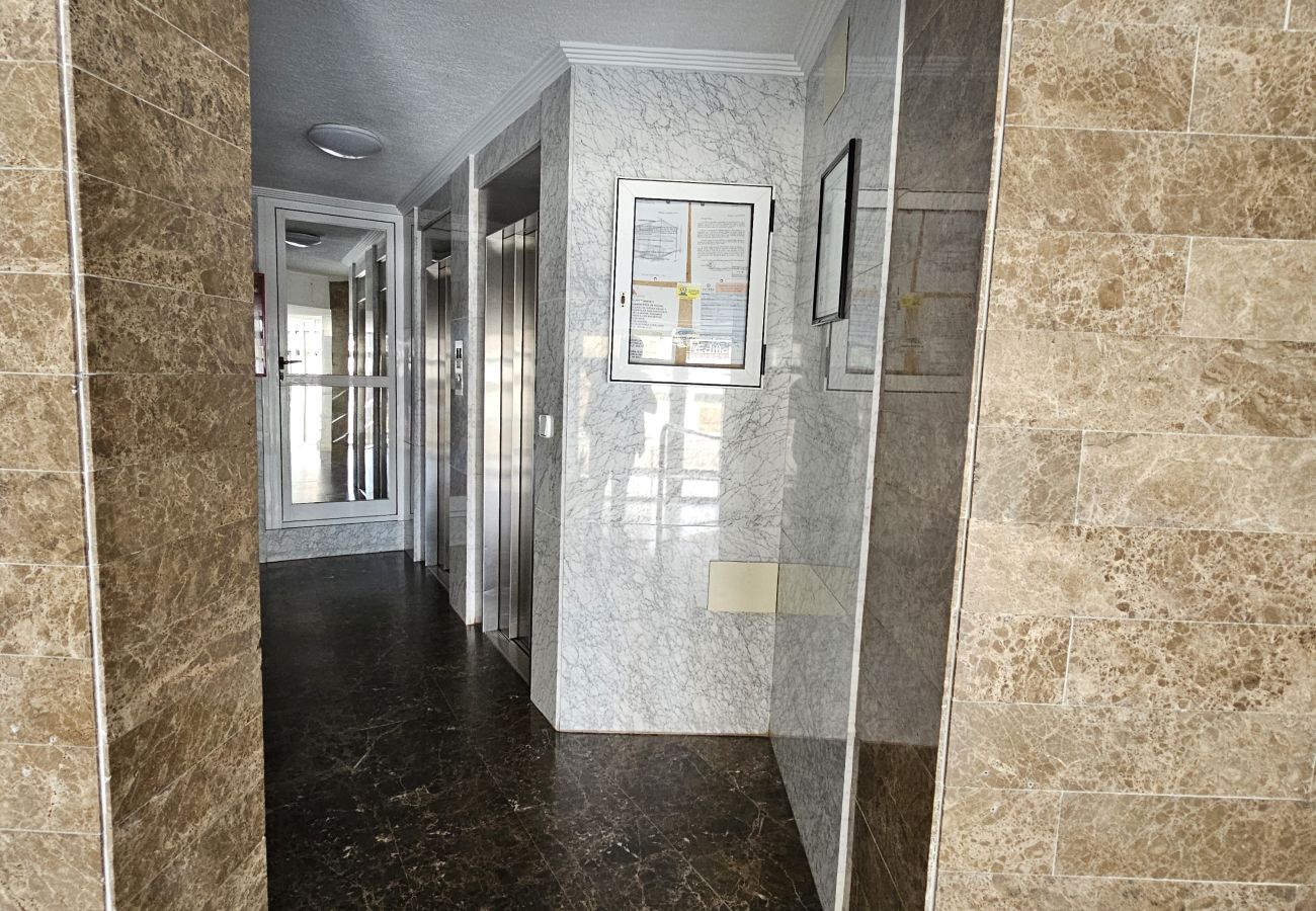 Apartamento en Benidorm - Apartamento  Zeus  IF Beach