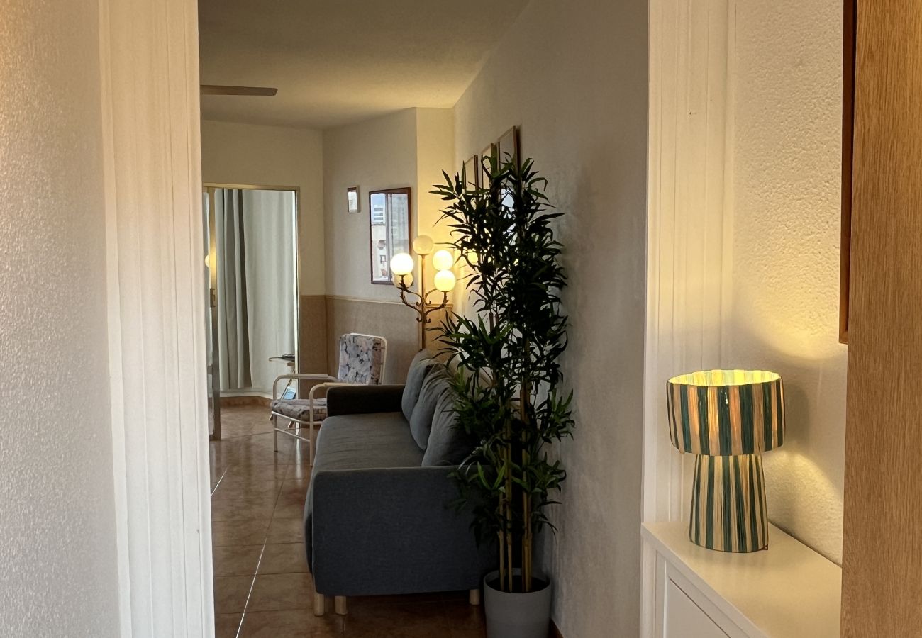 Apartamento en Benidorm - Apartamento  Zeus  IF Beach