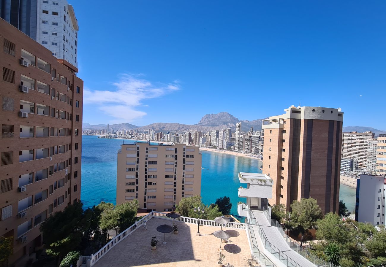 Apartamento en Benidorm - Apartamento  Trinisol II 4 IF Benidorm