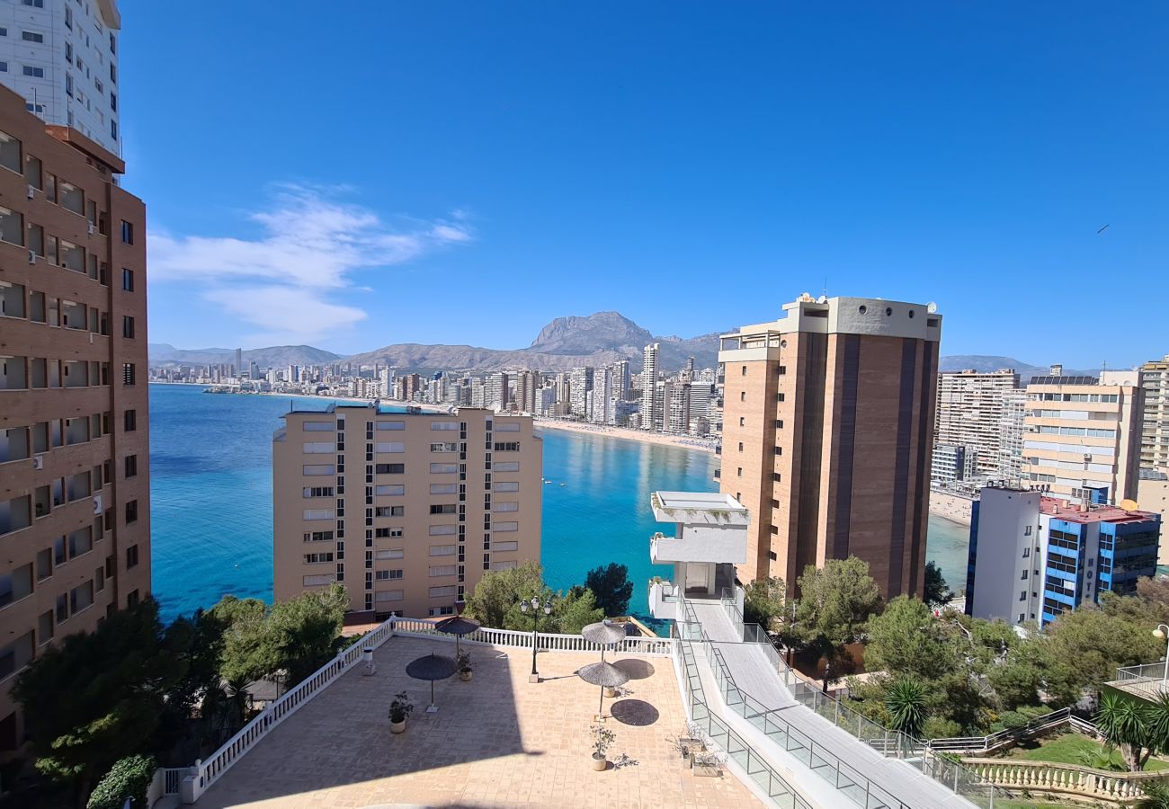 Apartamento en Benidorm - Apartamento  Trinisol II 4 IF Benidorm