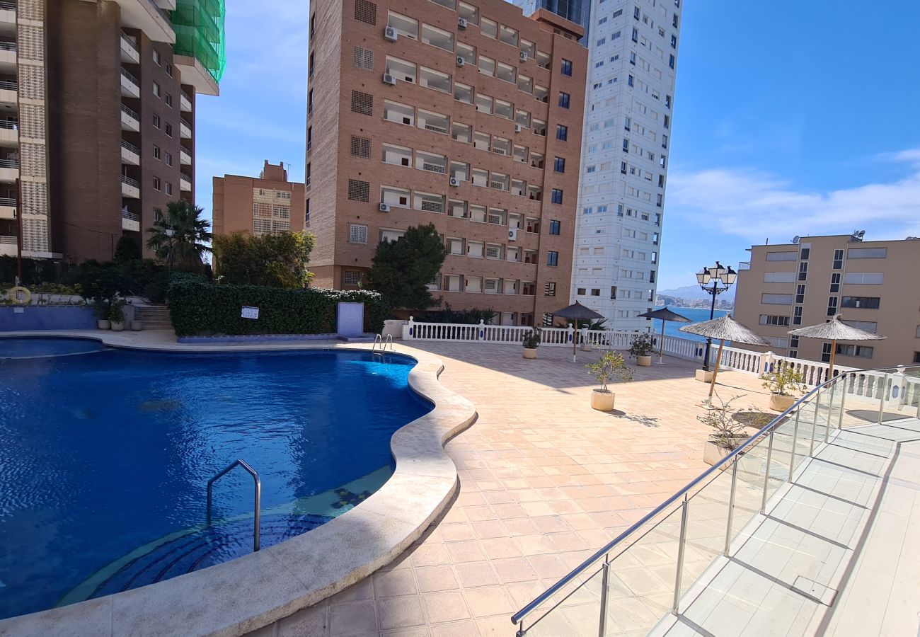 Apartamento en Benidorm - Apartamento  Trinisol II 4 IF Benidorm