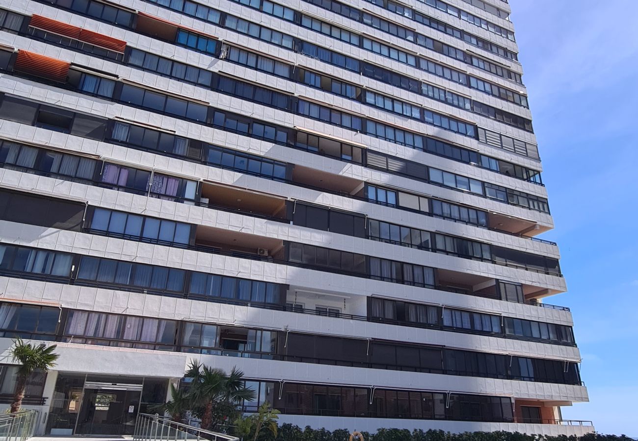 Apartamento en Benidorm - Apartamento  Trinisol II 4 IF Benidorm