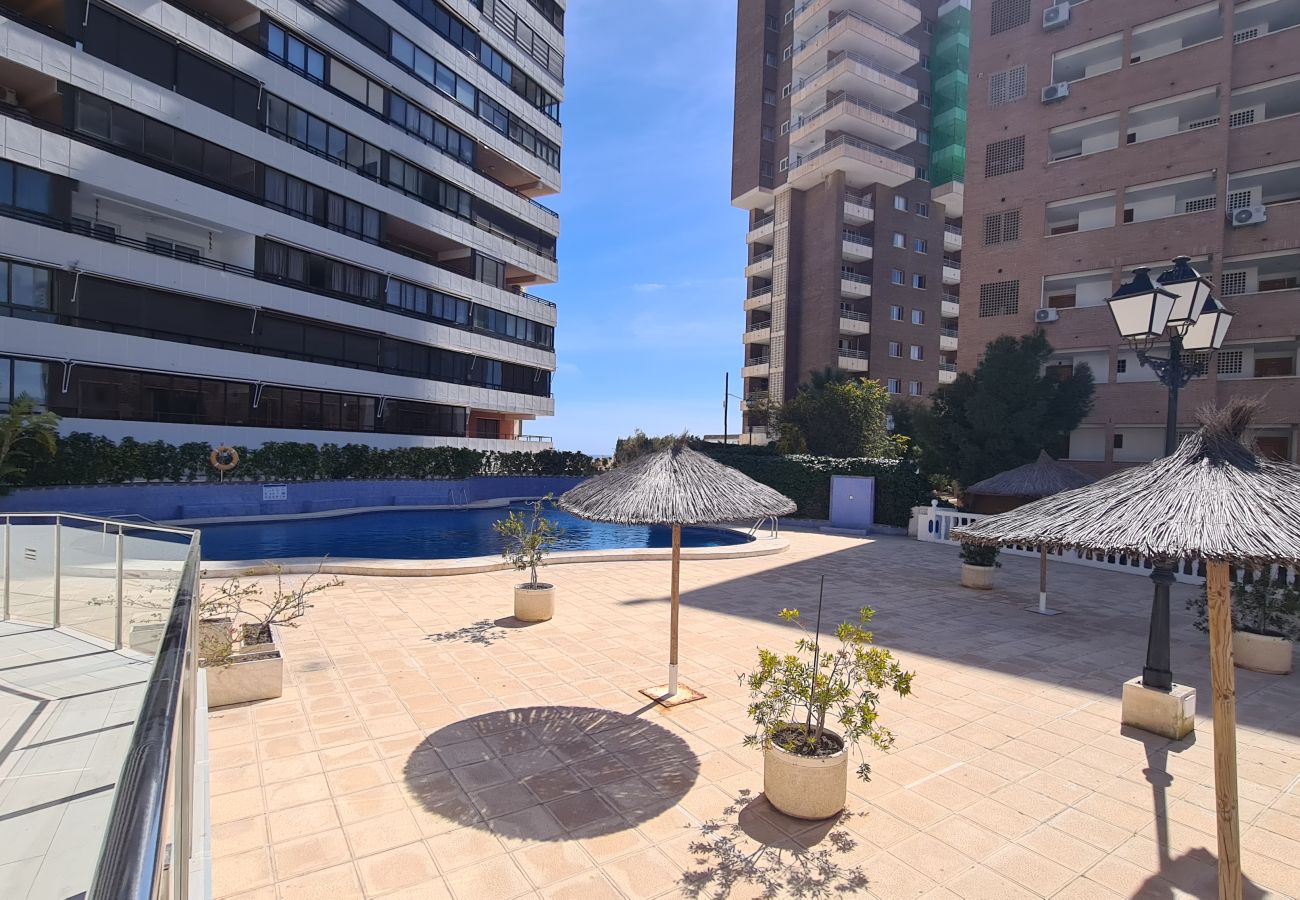 Apartamento en Benidorm - Apartamento  Trinisol II 4 IF Benidorm