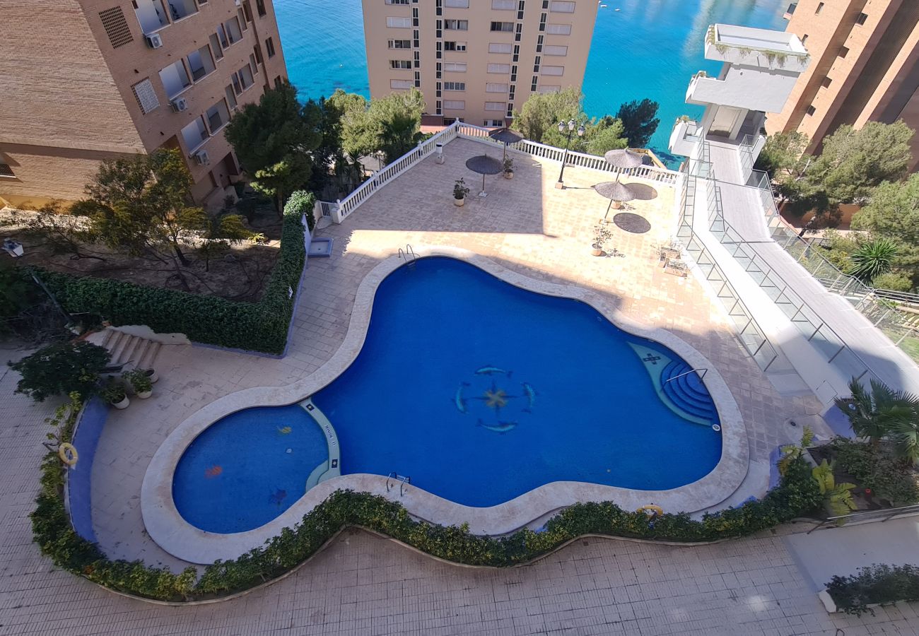 Apartamento en Benidorm - Apartamento  Trinisol II 4 IF Benidorm