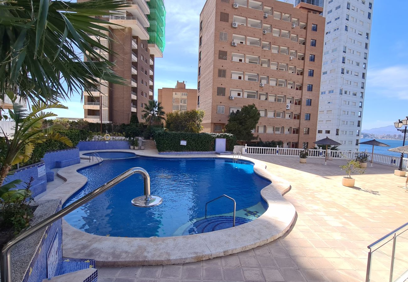 Apartamento en Benidorm - Apartamento  Trinisol II 4 IF Benidorm