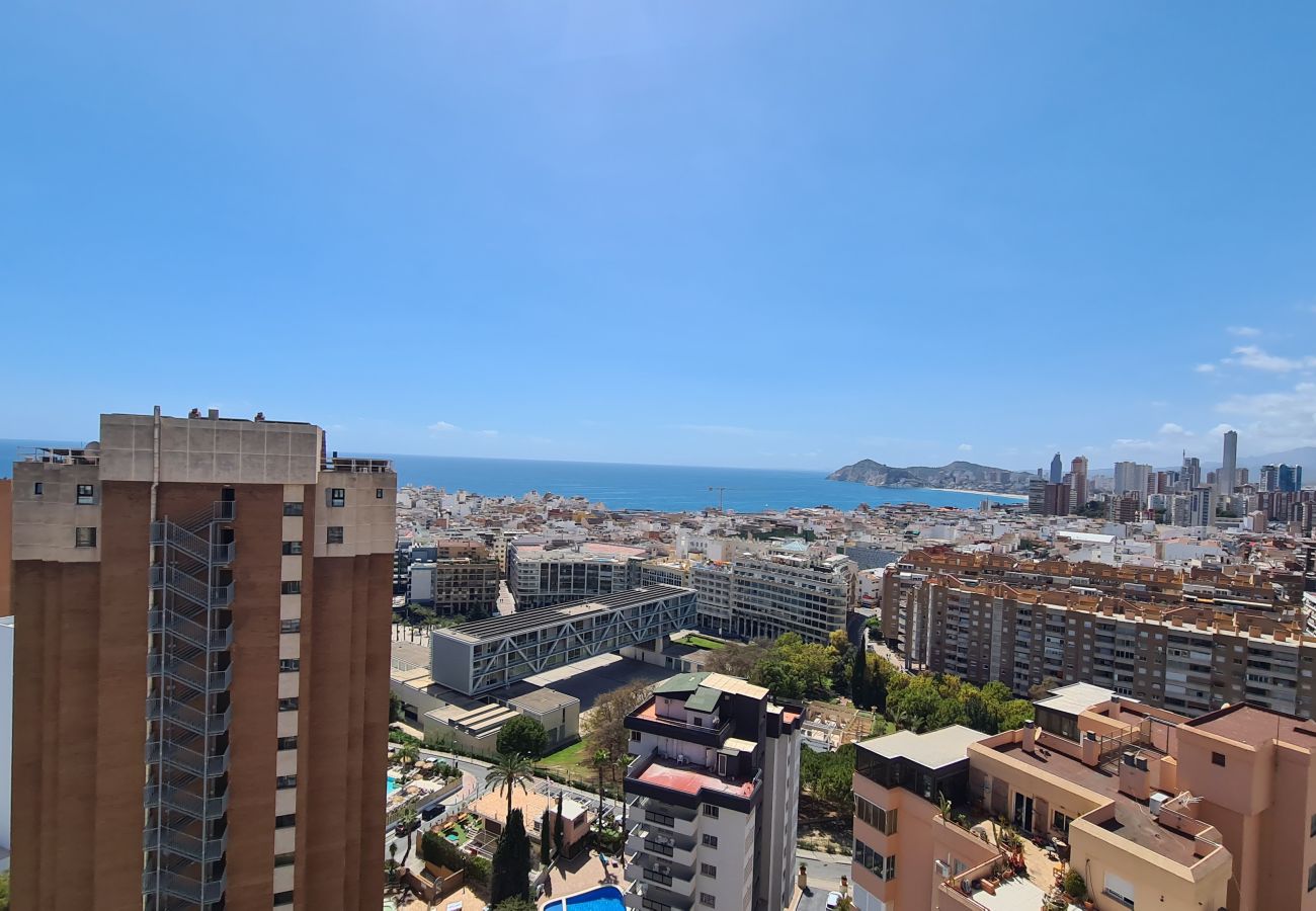 Apartamento en Benidorm - Apartamento Acacias 19 IF Benidorm