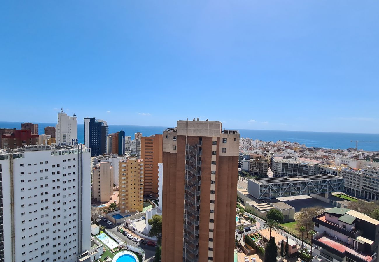 Apartamento en Benidorm - Apartamento Acacias 19 IF Benidorm