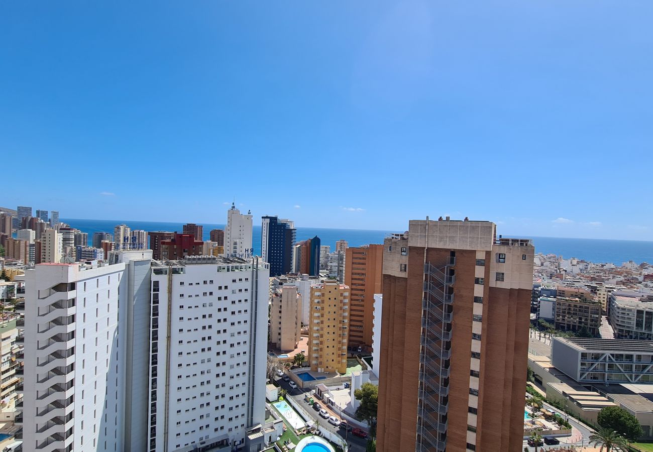 Apartamento en Benidorm - Apartamento Acacias 19 IF Benidorm