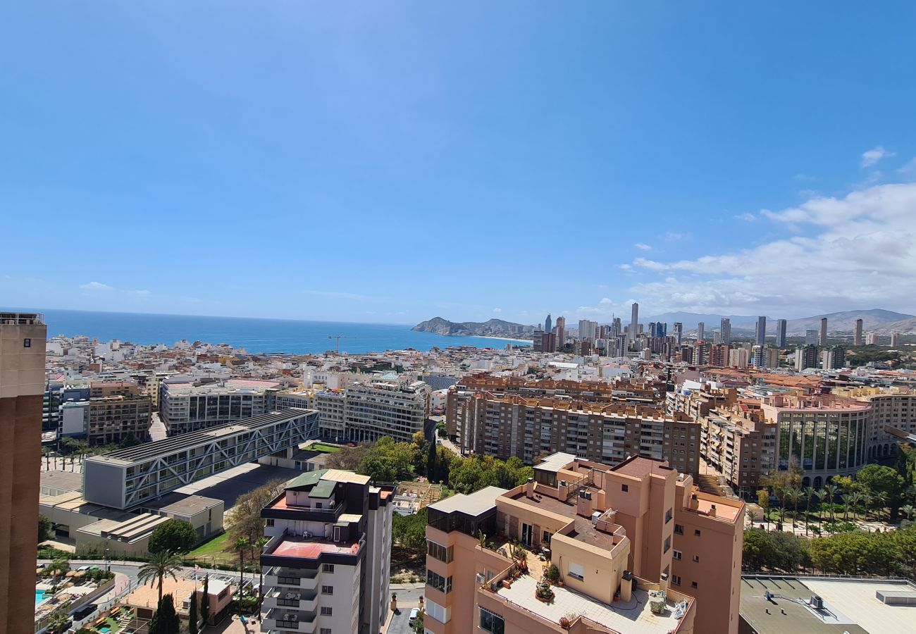 Apartamento en Benidorm - Apartamento Acacias 19 IF Benidorm