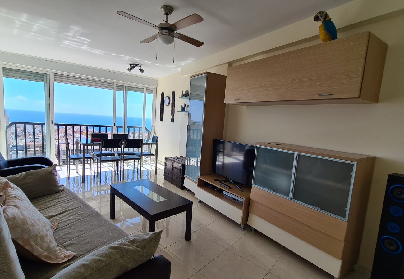 Apartamento en Benidorm - Apartamento Acacias 19 IF Benidorm