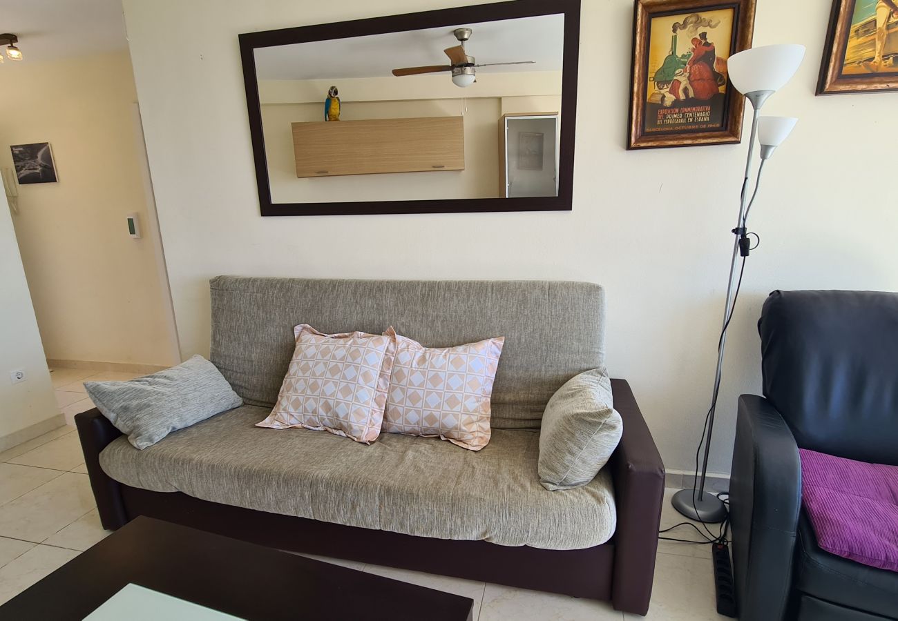 Apartamento en Benidorm - Apartamento Acacias 19 IF Benidorm