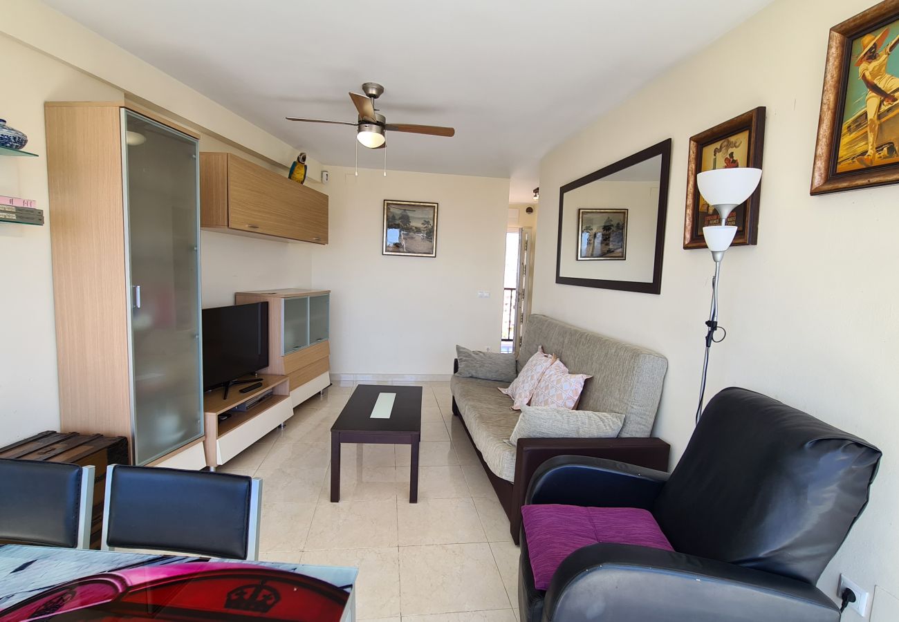 Apartamento en Benidorm - Apartamento Acacias 19 IF Benidorm