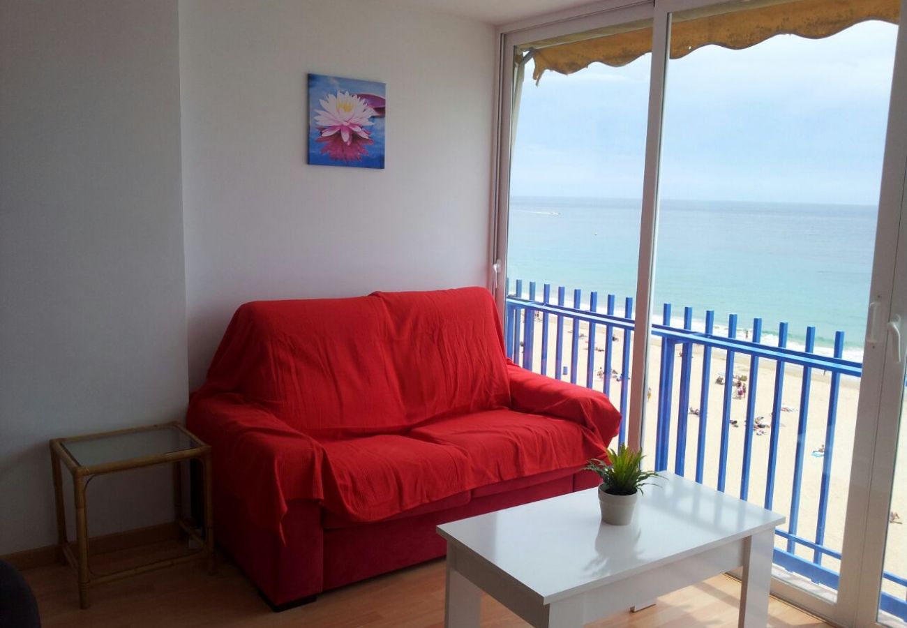 Apartamento en Benidorm - Apartamento  Las Palmeras 6 IF Benidorm