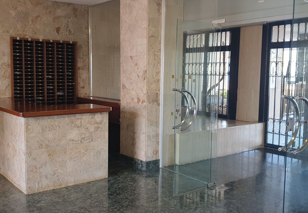 Apartamento en Benidorm - Apartamento  Las Palmeras 6 IF Benidorm