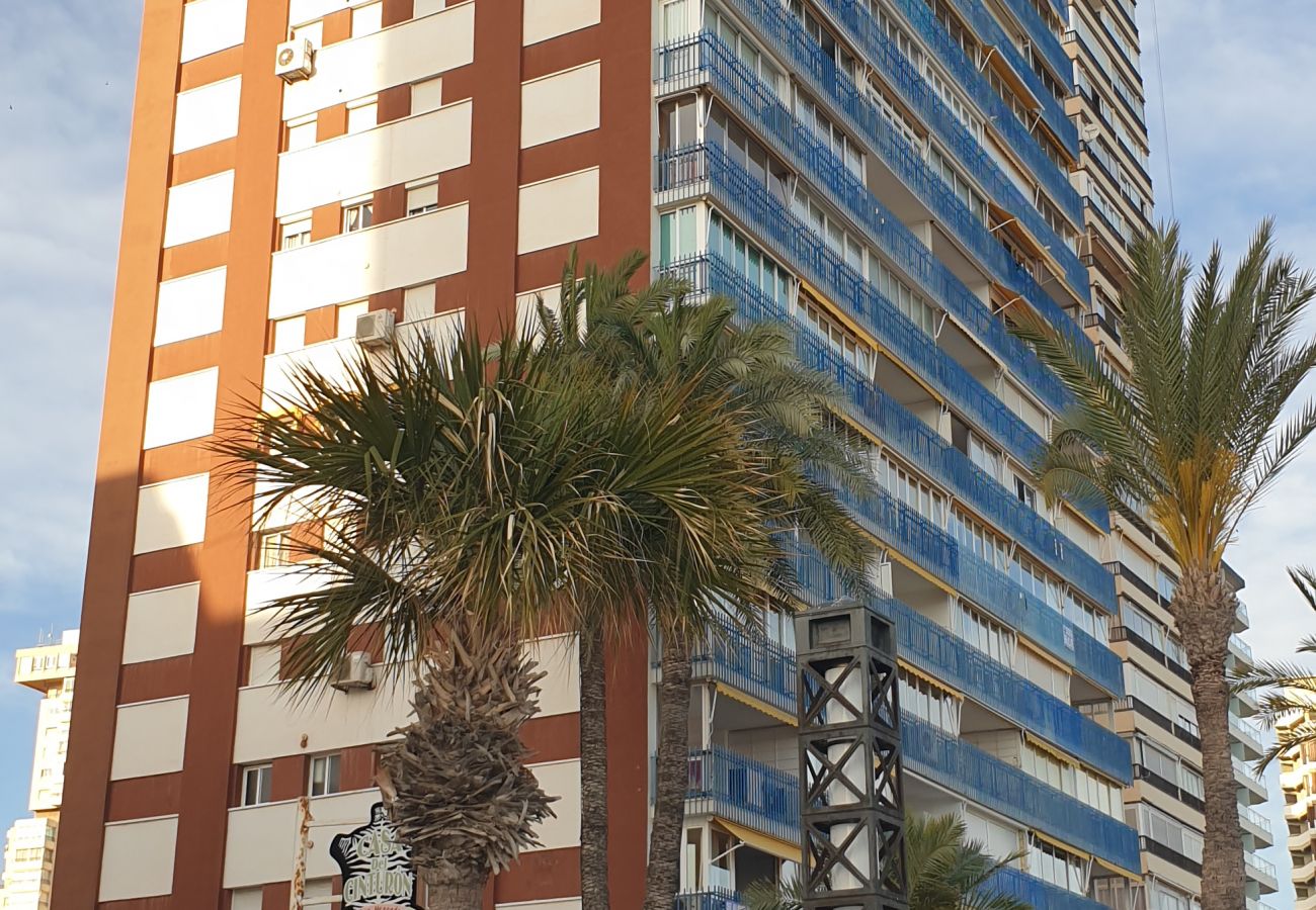 Apartamento en Benidorm - Apartamento  Las Palmeras 6 IF Benidorm