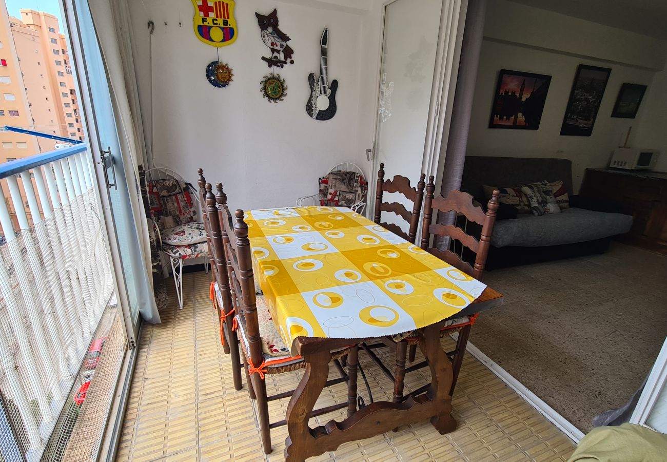 Apartamento en Benidorm - Apartamento  Acacias  7 IF Benidorm