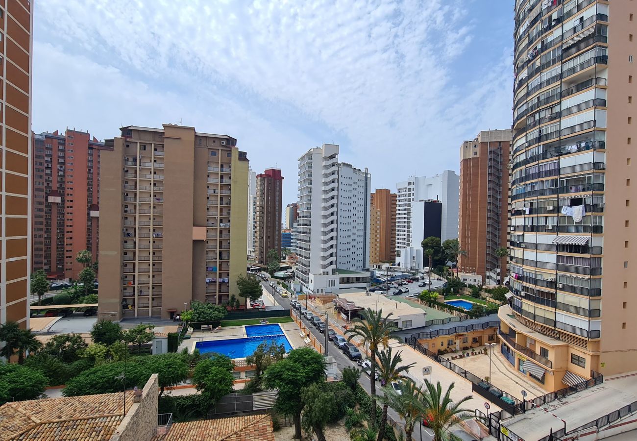 Apartamento en Benidorm - Apartamento  Acacias  7 IF Benidorm