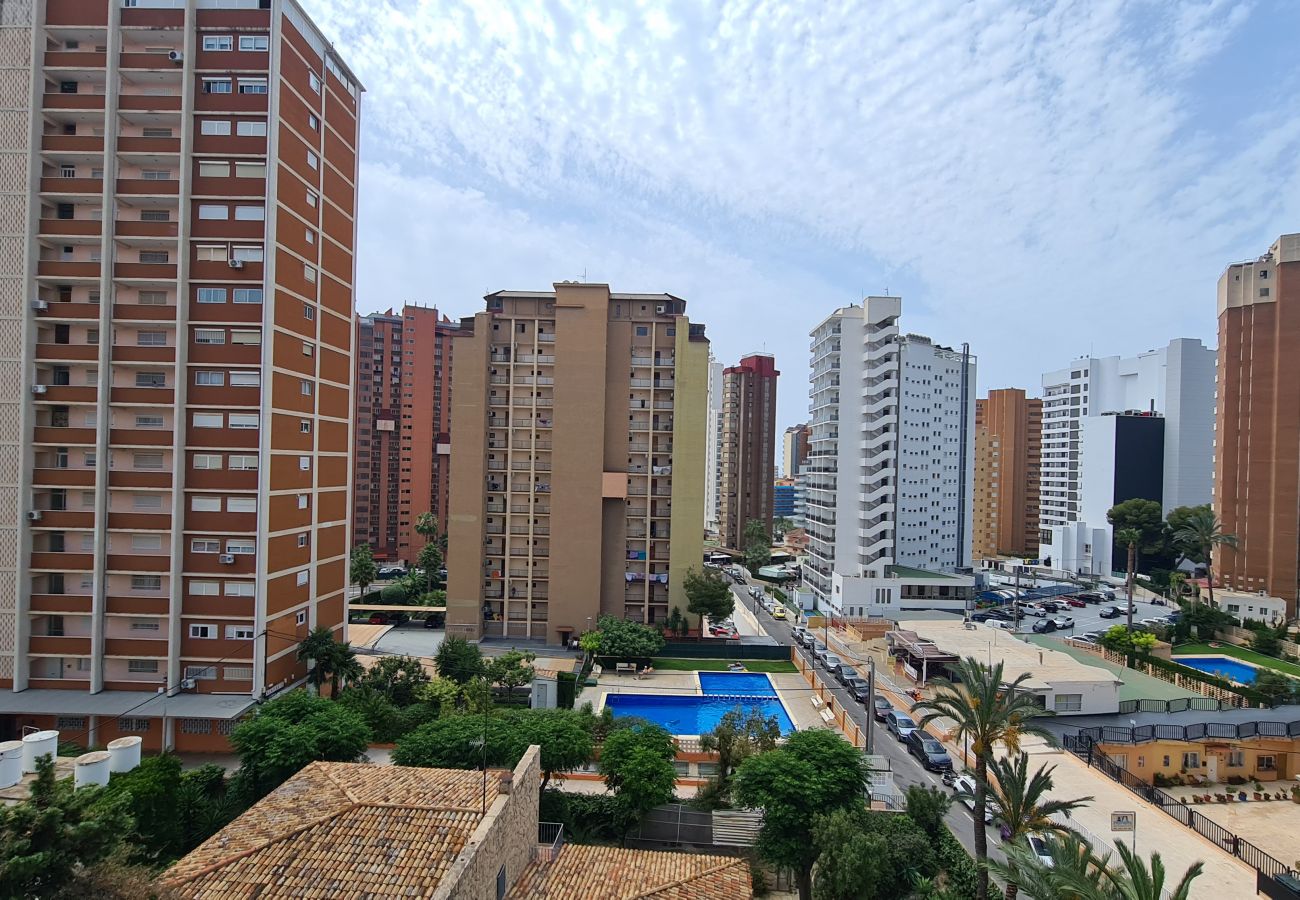 Apartamento en Benidorm - Apartamento  Acacias  7 IF Benidorm