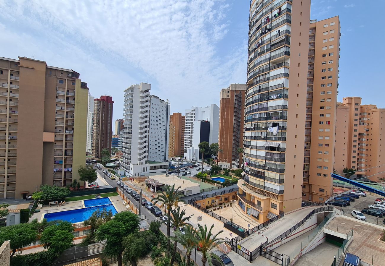 Apartamento en Benidorm - Apartamento  Acacias  7 IF Benidorm