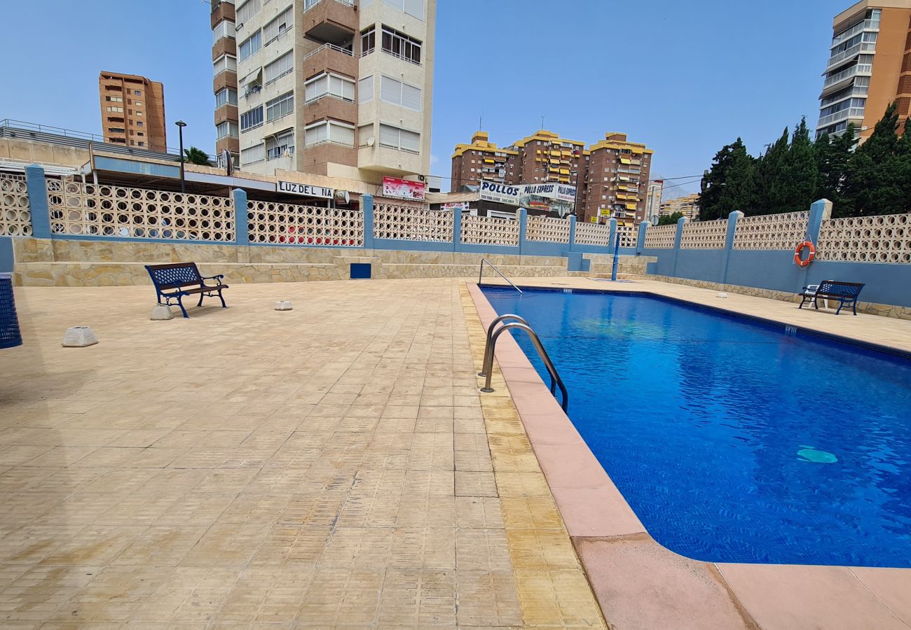 Apartamento en Benidorm - Apartamento  Acacias  7 IF Benidorm