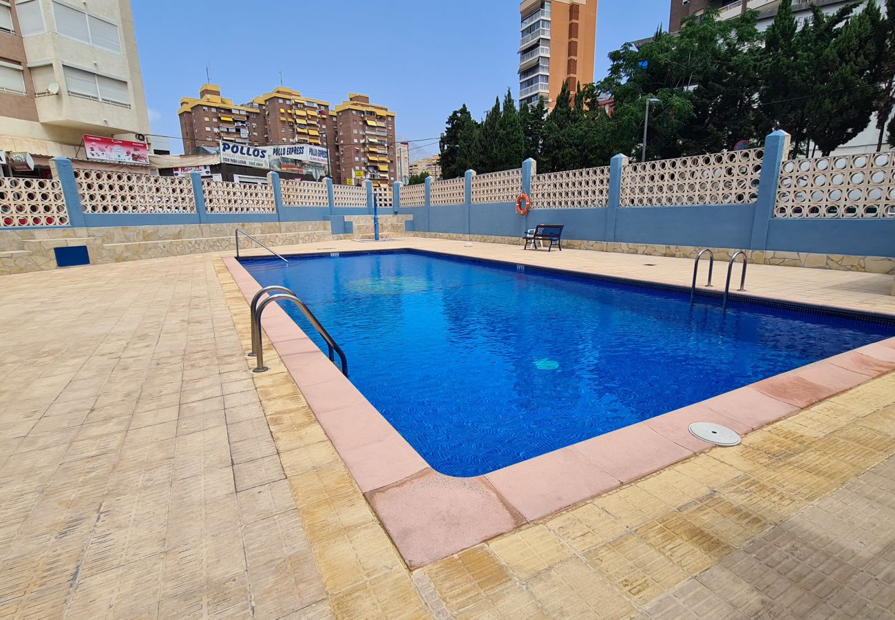 Apartamento en Benidorm - Apartamento  Acacias  7 IF Benidorm