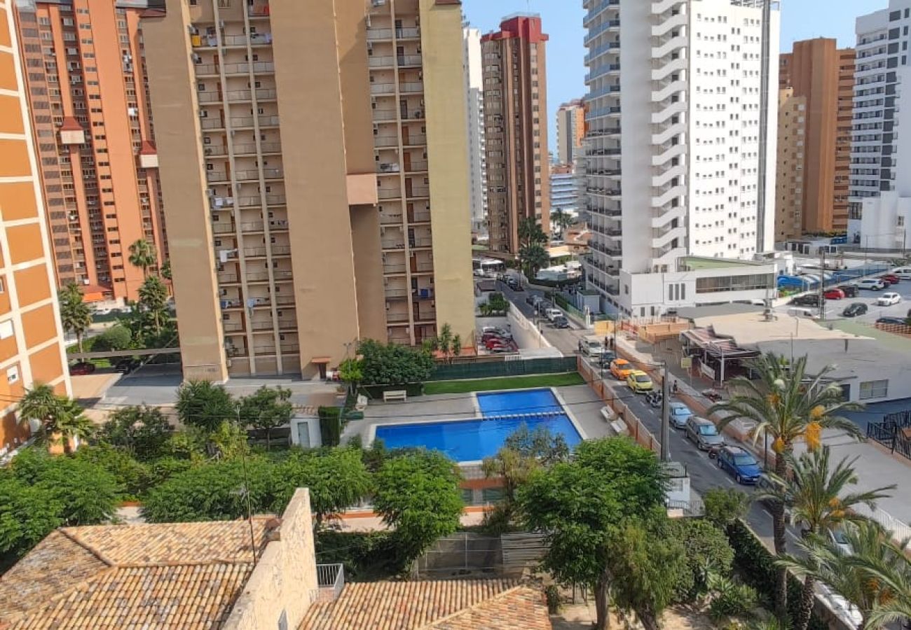 Apartamento en Benidorm - Apartamento  Acacias  7 IF Benidorm