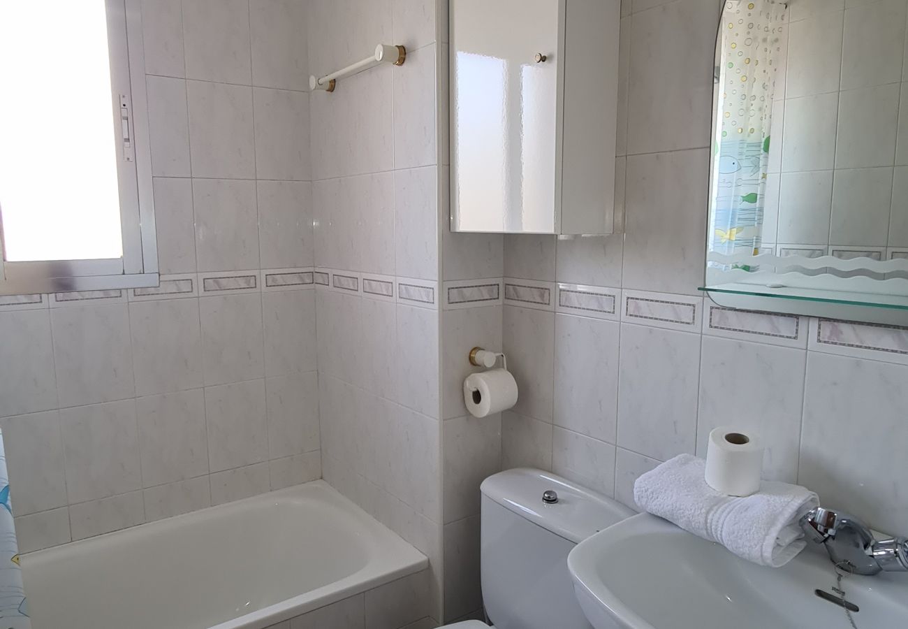 Apartamento en Benidorm - Apartamento  San Sebastian IF Benidorm