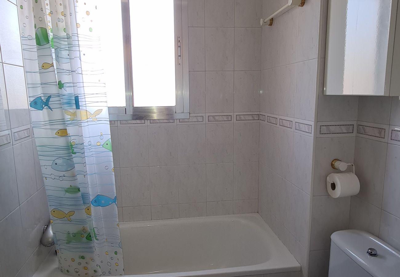 Apartamento en Benidorm - Apartamento  San Sebastian IF Benidorm