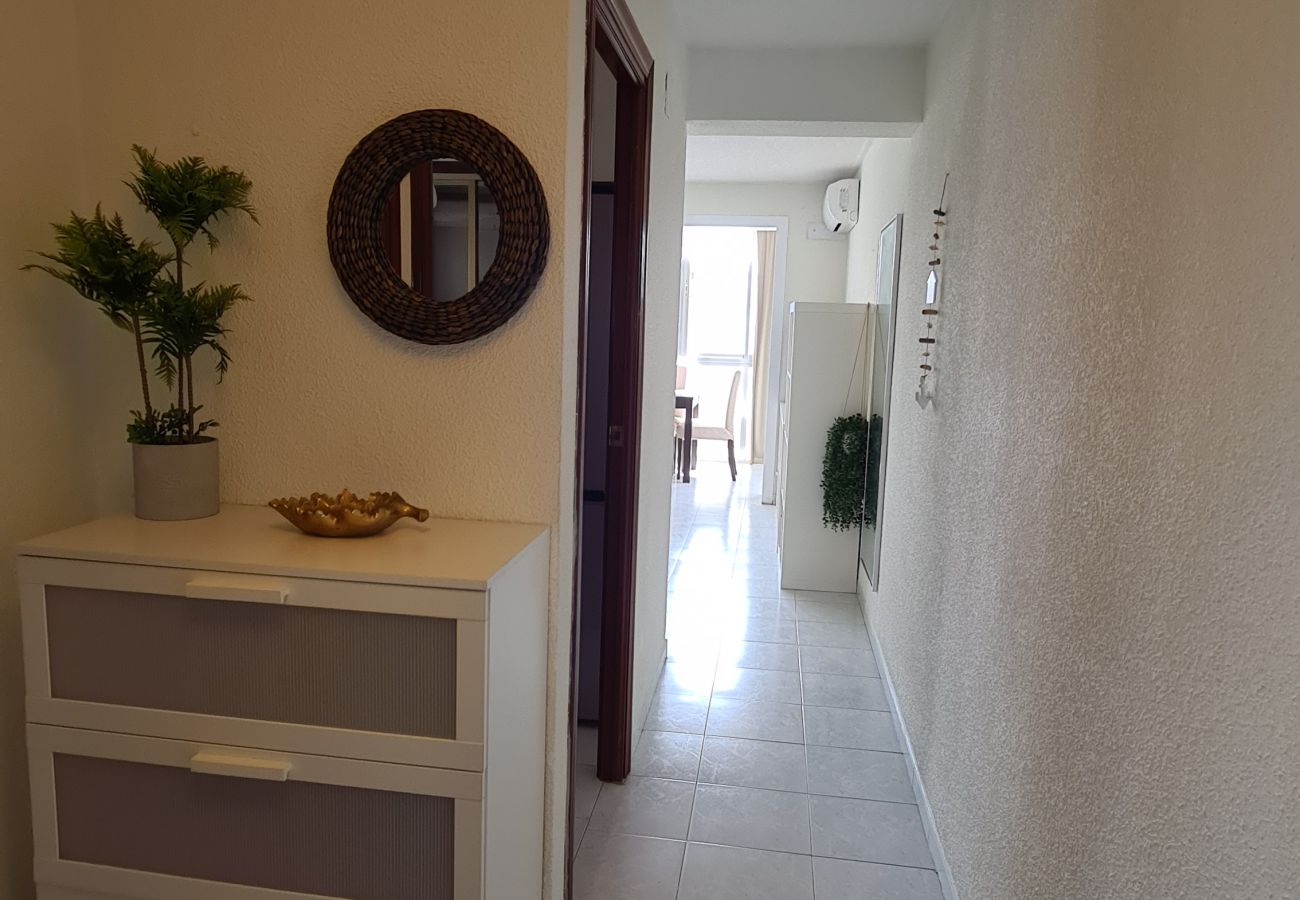 Apartamento en Benidorm - Apartamento  San Sebastian IF Benidorm