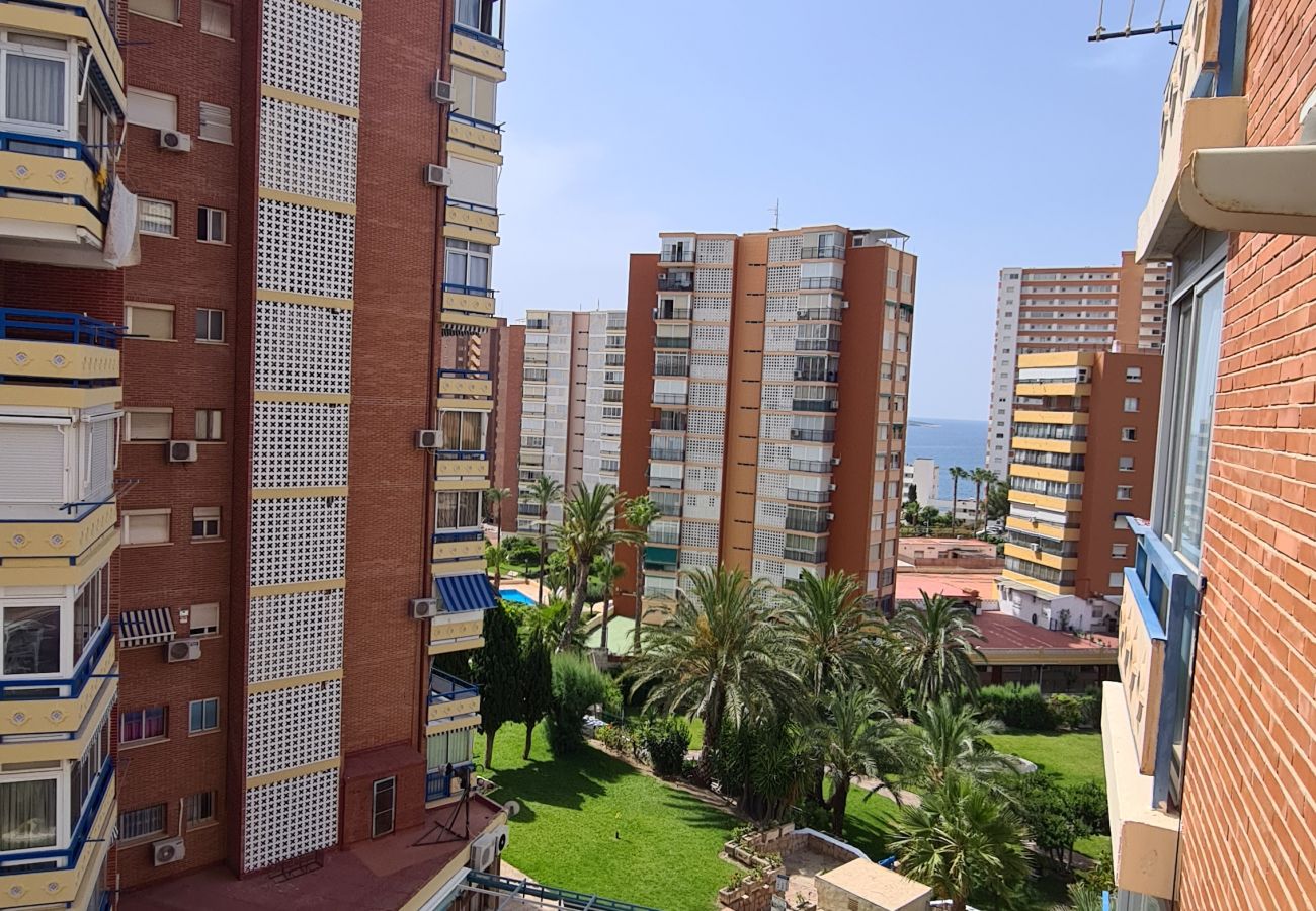 Apartamento en Benidorm - Apartamento  San Sebastian IF Benidorm