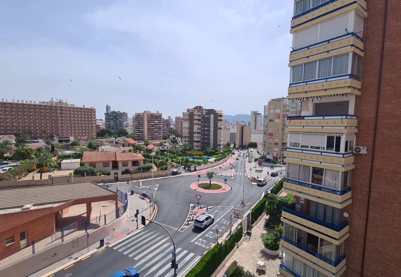 Apartamento en Benidorm - Apartamento  San Sebastian IF Benidorm