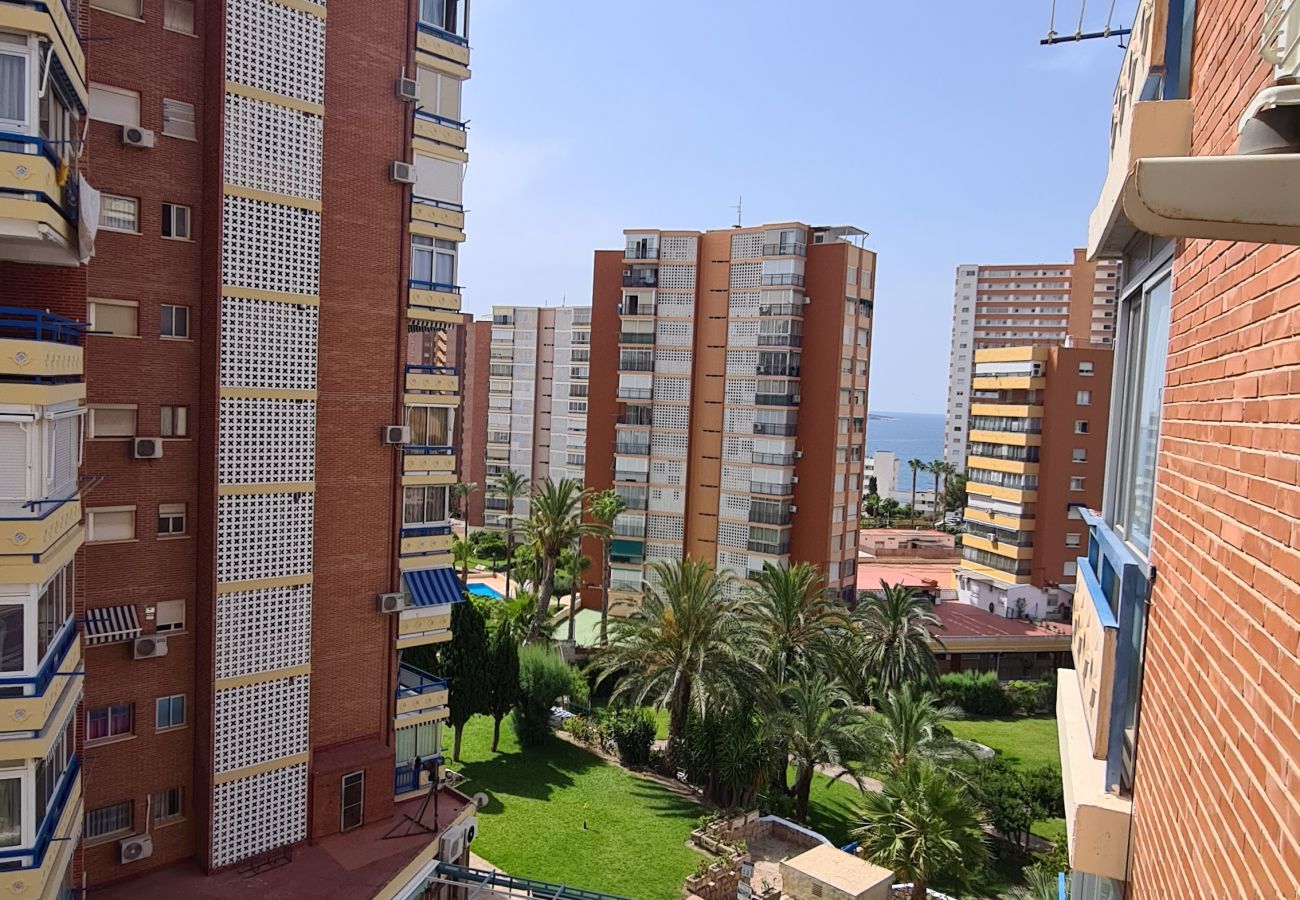 Apartamento en Benidorm - Apartamento  San Sebastian IF Benidorm