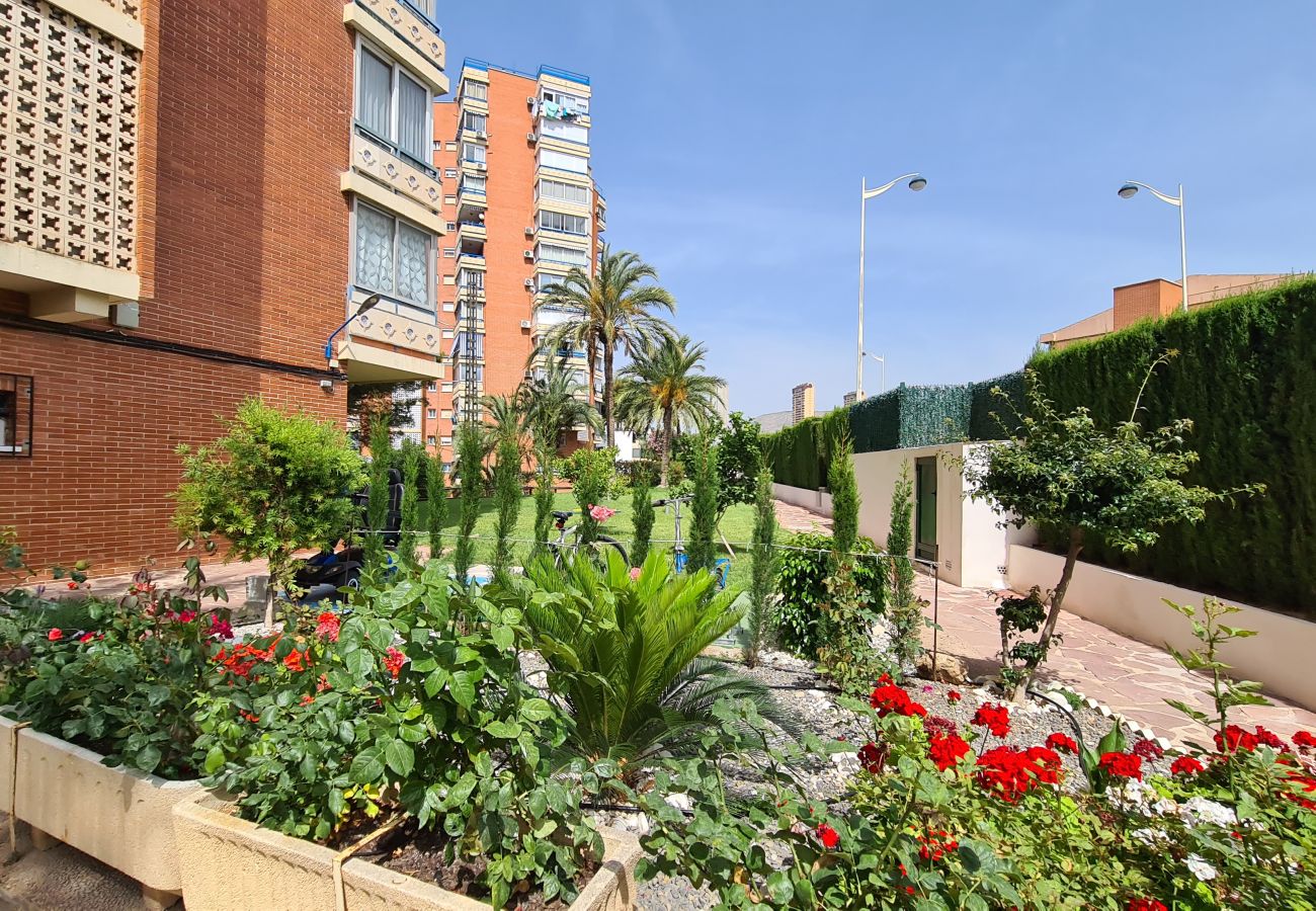 Apartamento en Benidorm - Apartamento  San Sebastian IF Benidorm