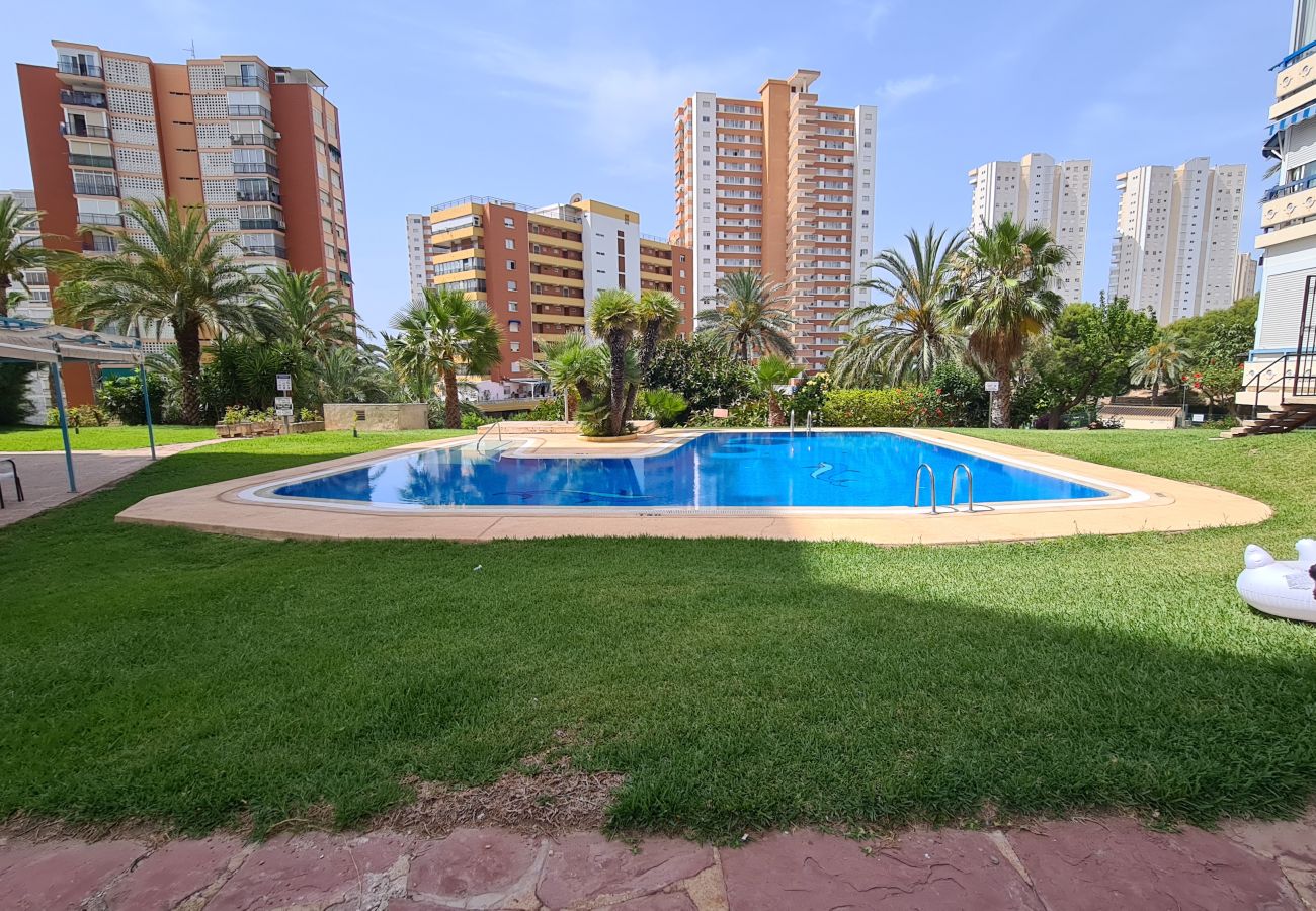 Apartamento en Benidorm - Apartamento  San Sebastian IF Benidorm