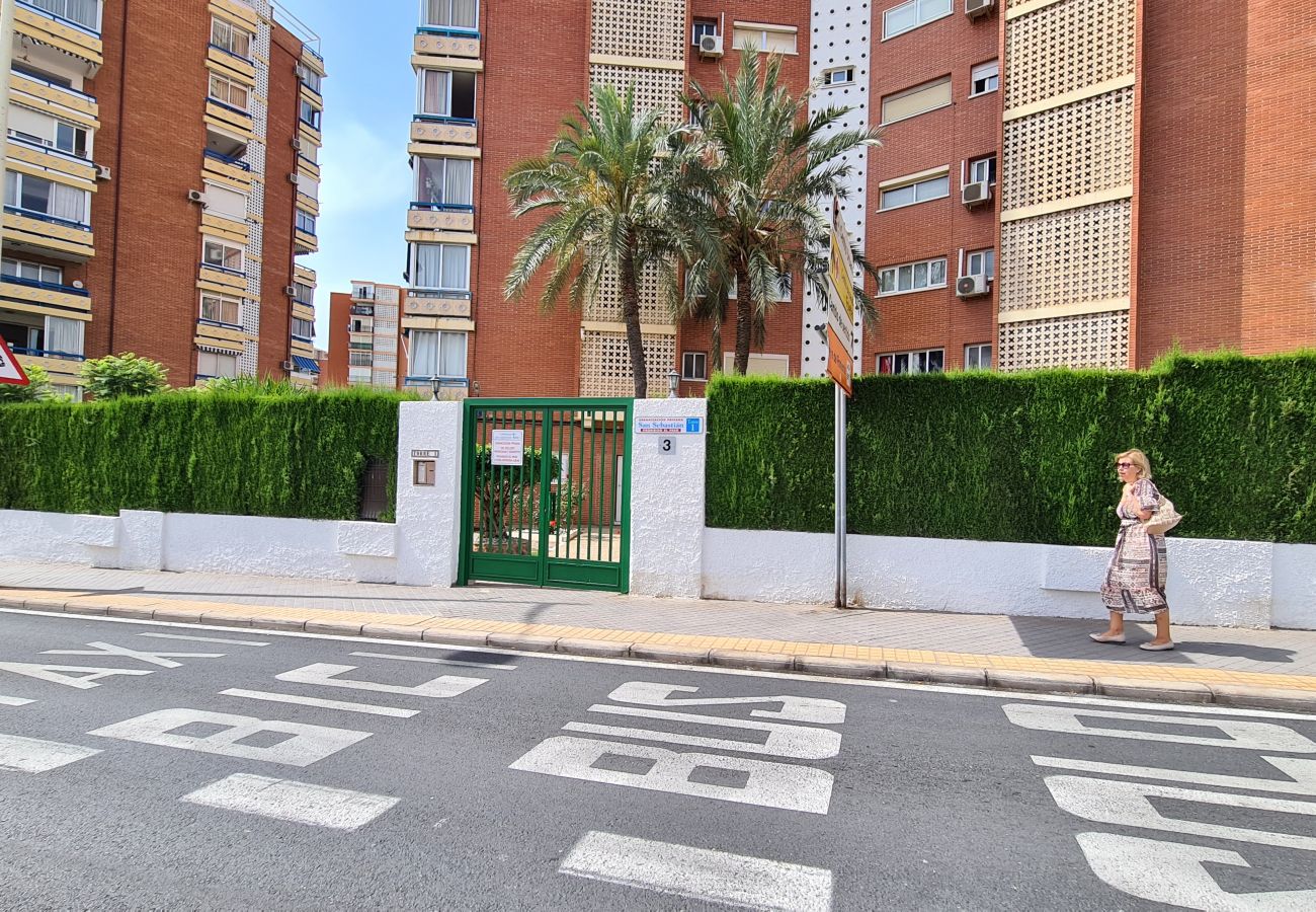 Apartamento en Benidorm - Apartamento  San Sebastian IF Benidorm