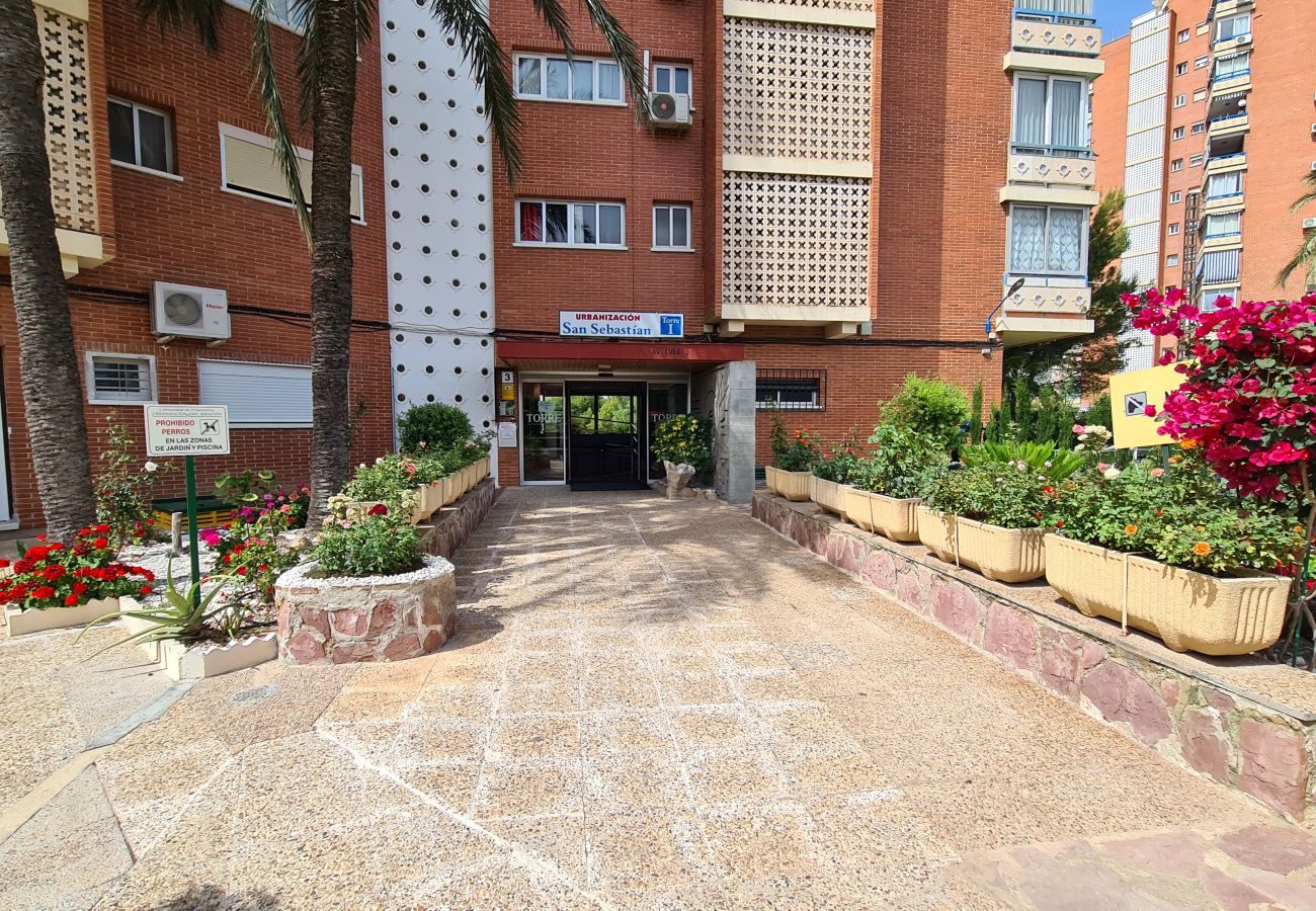 Apartamento en Benidorm - Apartamento  San Sebastian IF Benidorm