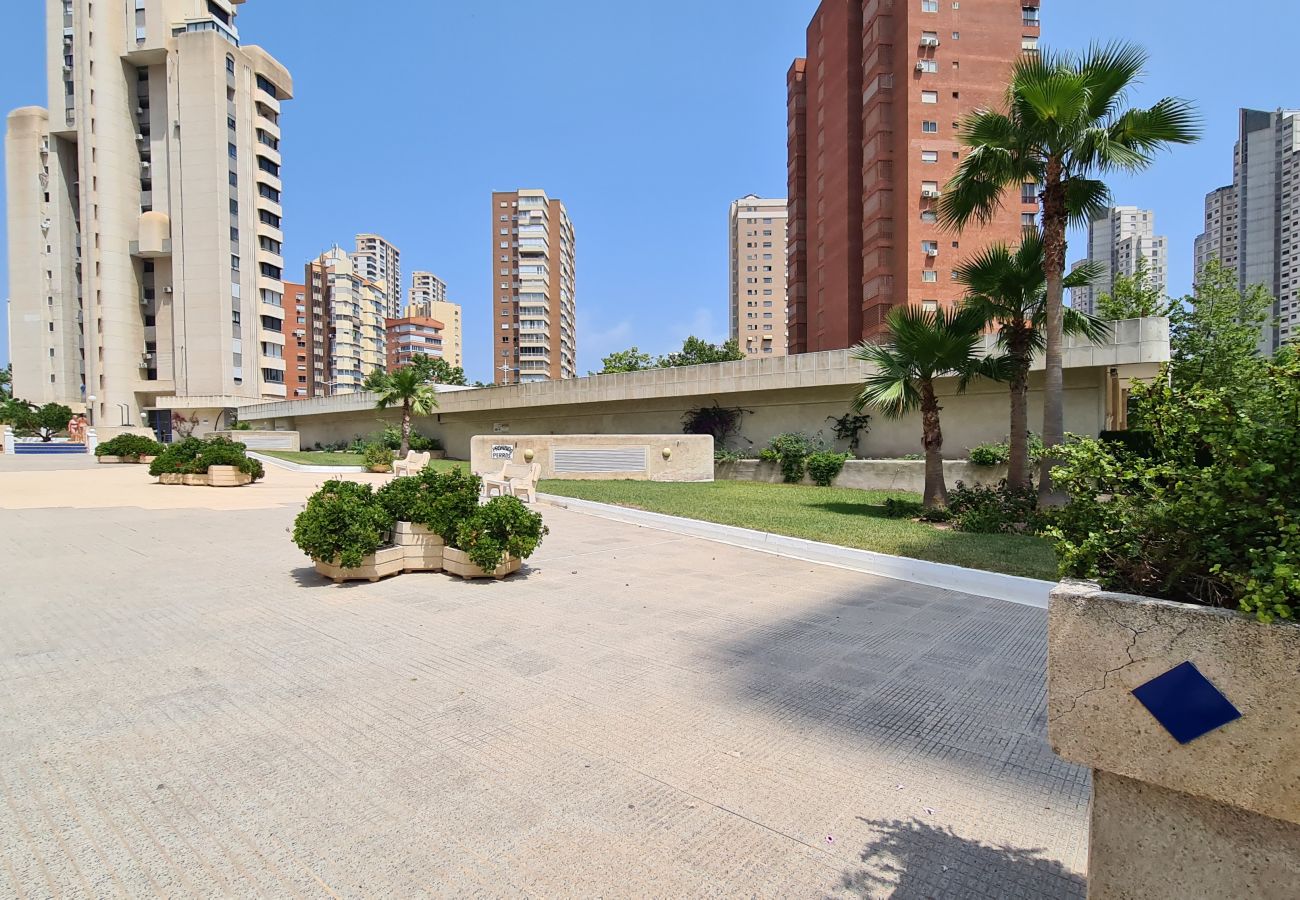 Apartamento en Benidorm - Apartamento  San Francisco IF Benidorm