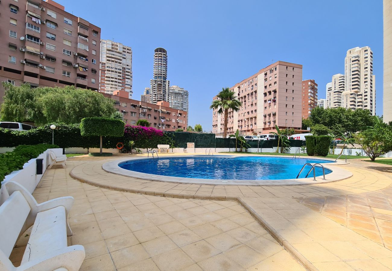 Apartamento en Benidorm - Apartamento  San Francisco IF Benidorm